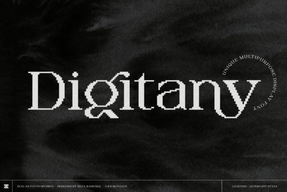 Digitany: Blending Serif Luxury with 80s Pixel Art